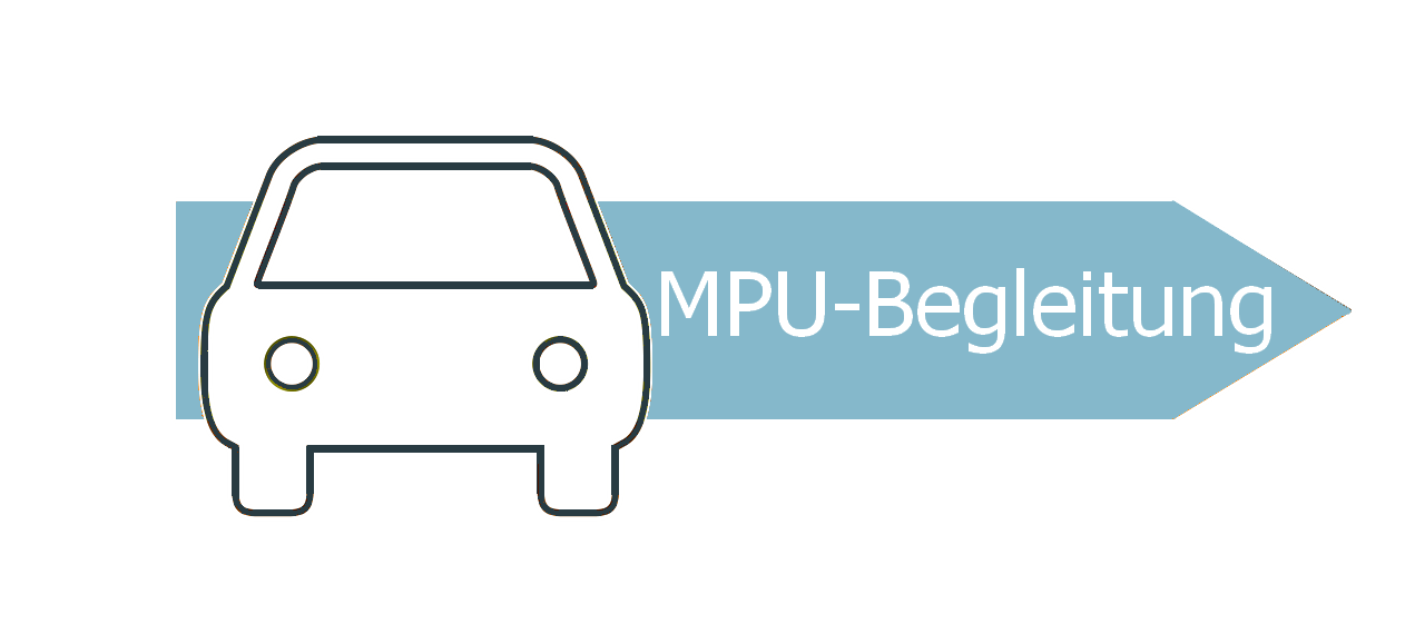 MPU-Begleitung (c) Gerd Altmann / pixabay.de